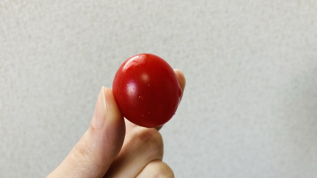 一粒のトマト